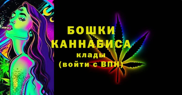 стаф Белокуриха