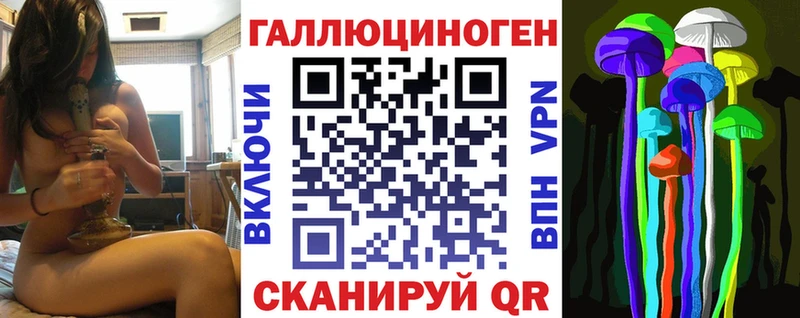 где можно купить наркотик  Краснозаводск  Галлюциногенные грибы Cubensis 